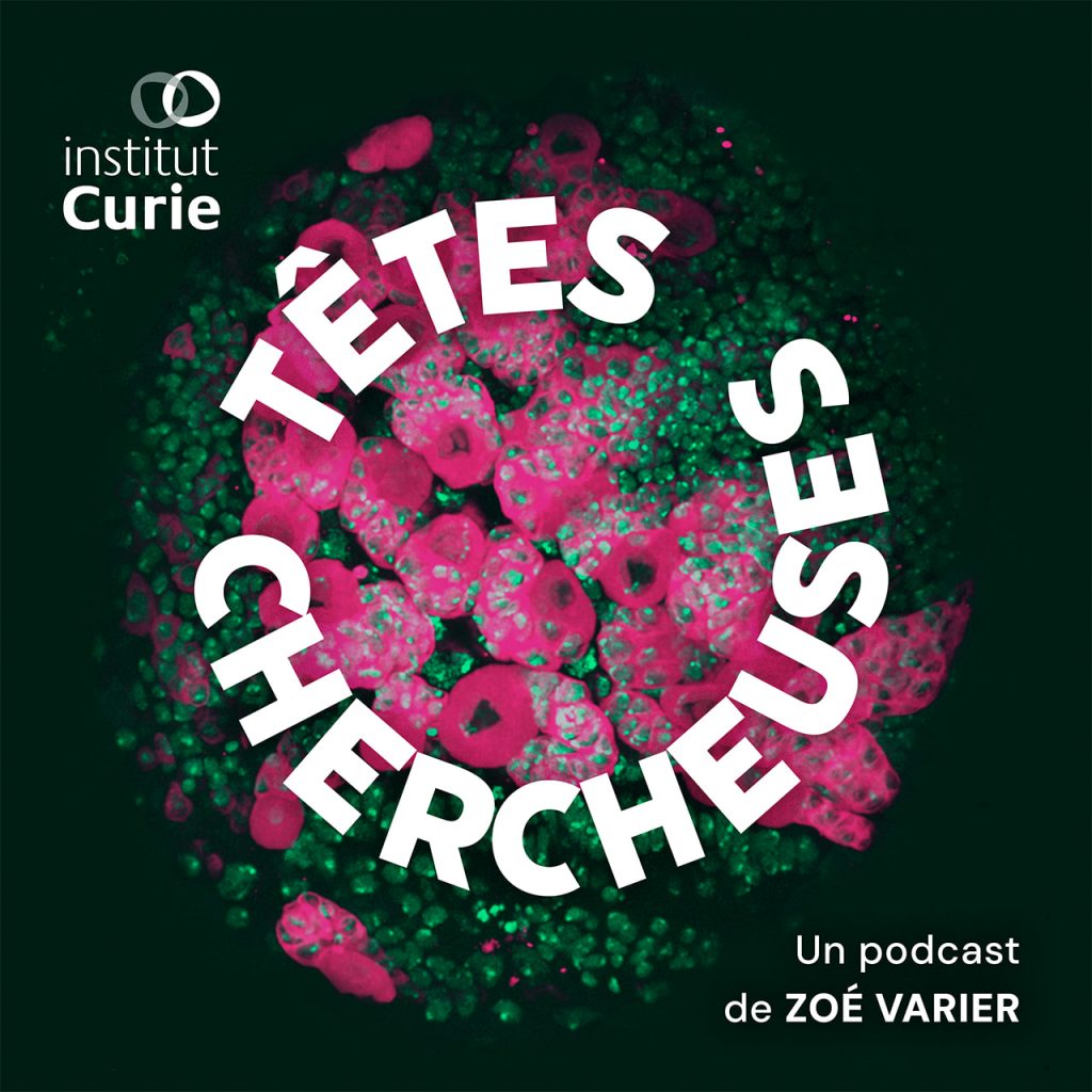 Couverture du podcast Têtes Chercheuses