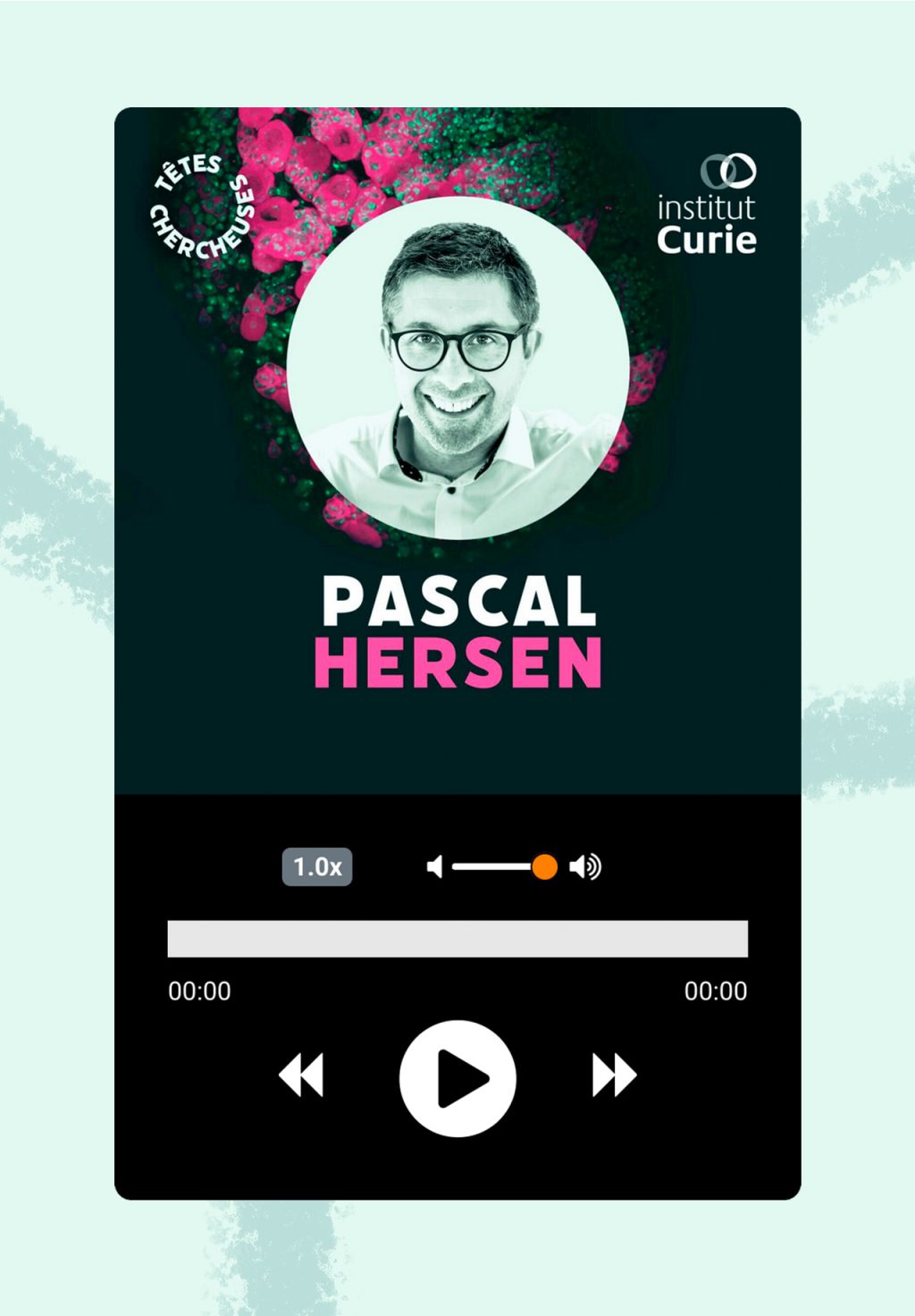 Podcast Têtes Chercheuses - Pascal Hersen