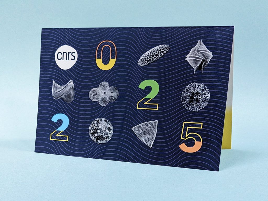 Carte de vœux 2025 du CNRS montrant des formes issues de l'imagerie par microscopie