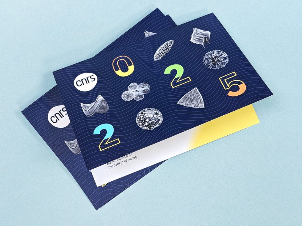 Carte de vœux 2025 du CNRS montrant des formes issues de l'imagerie par microscopie