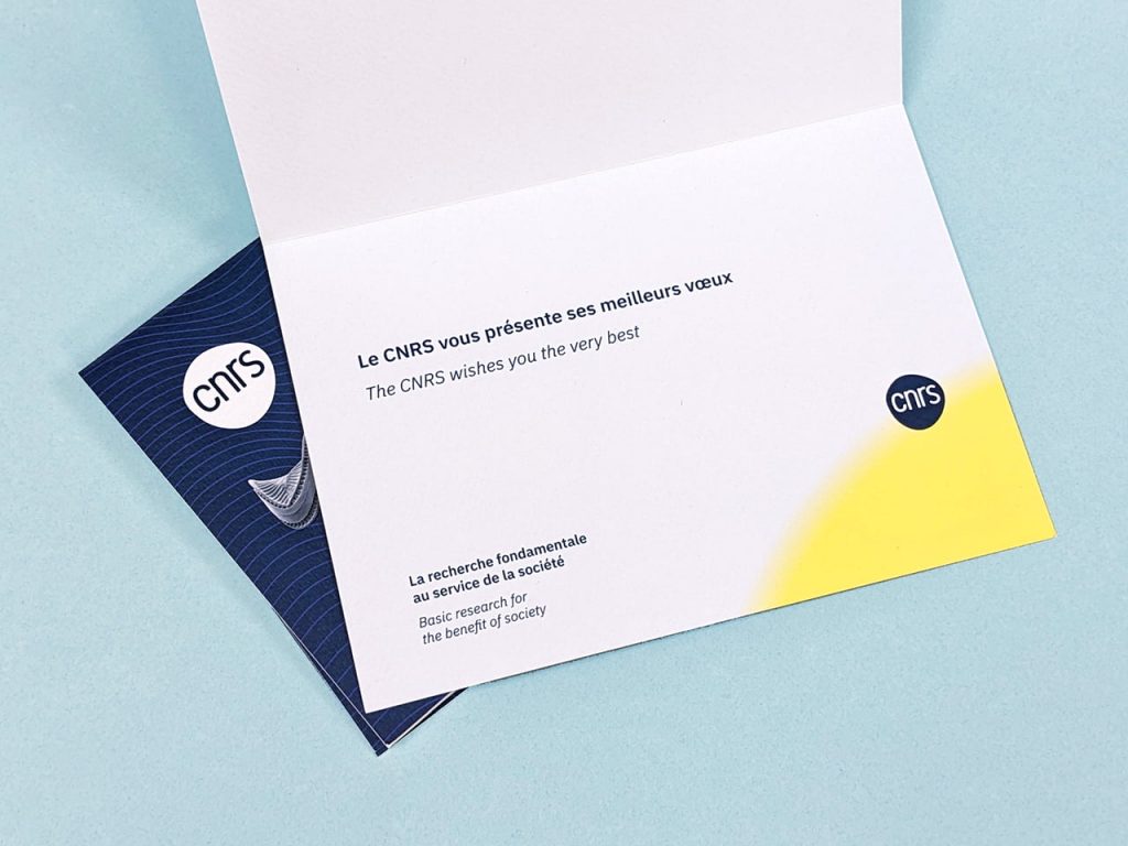 Carte de vœux 2025 du CNRS montrant des formes issues de l'imagerie par microscopie