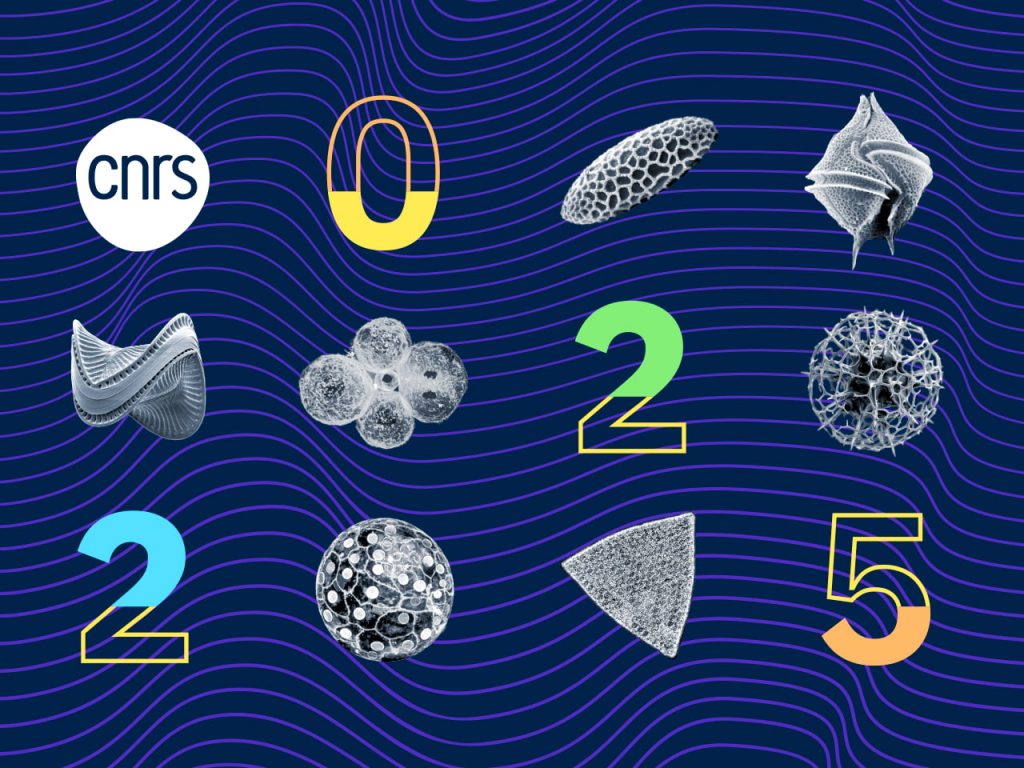 Carte de vœux 2025 du CNRS montrant des formes issues de l'imagerie par microscopie