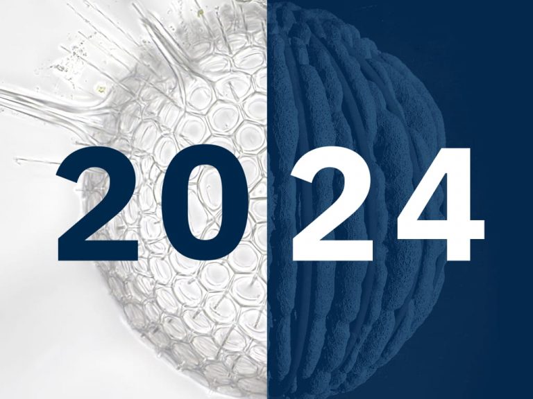 CNRS - Carte de vœux 2024